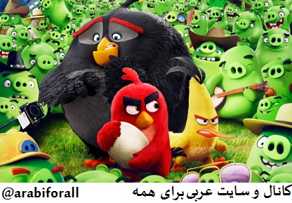 پرندگان عصبانی پرندگان خشمگین الطیور الغاضبة دوبله عربی مدبلج عربي